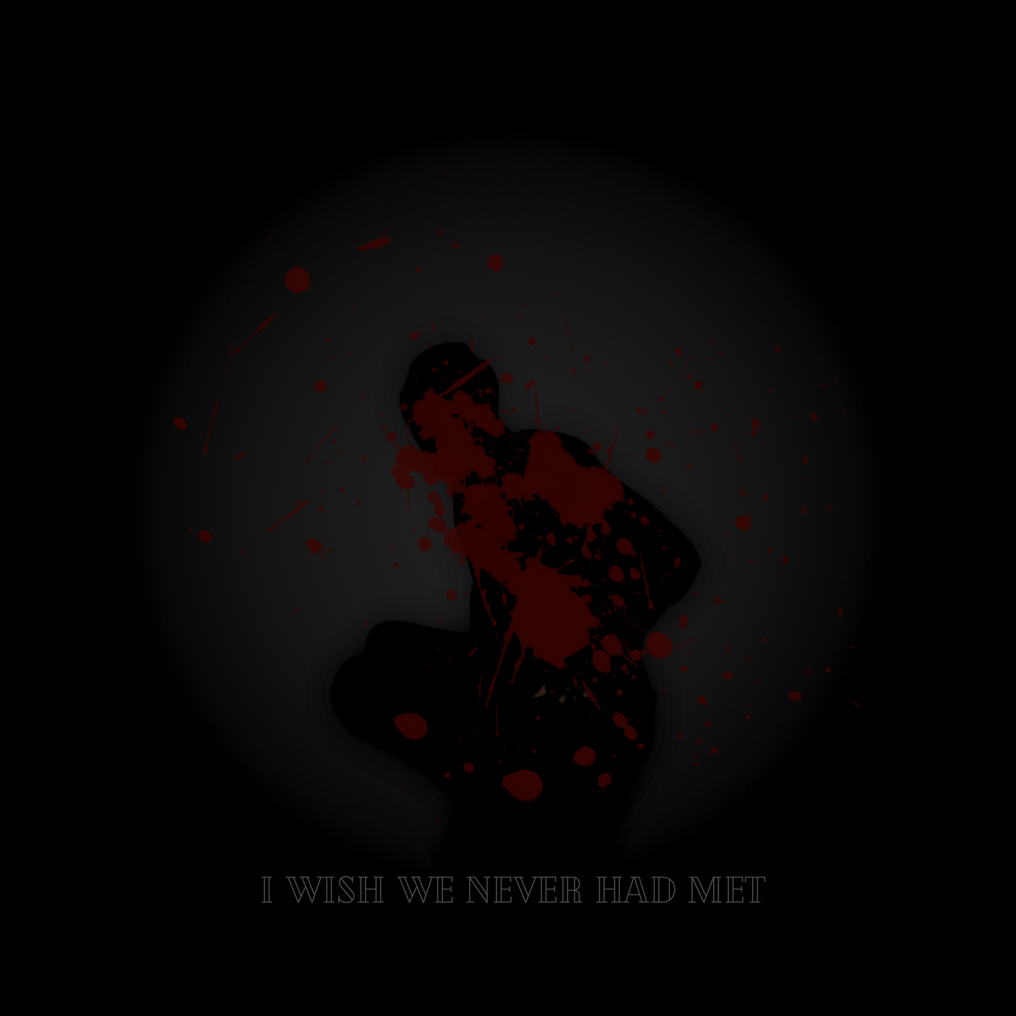I Wish We Never Had Met (Digital Download)