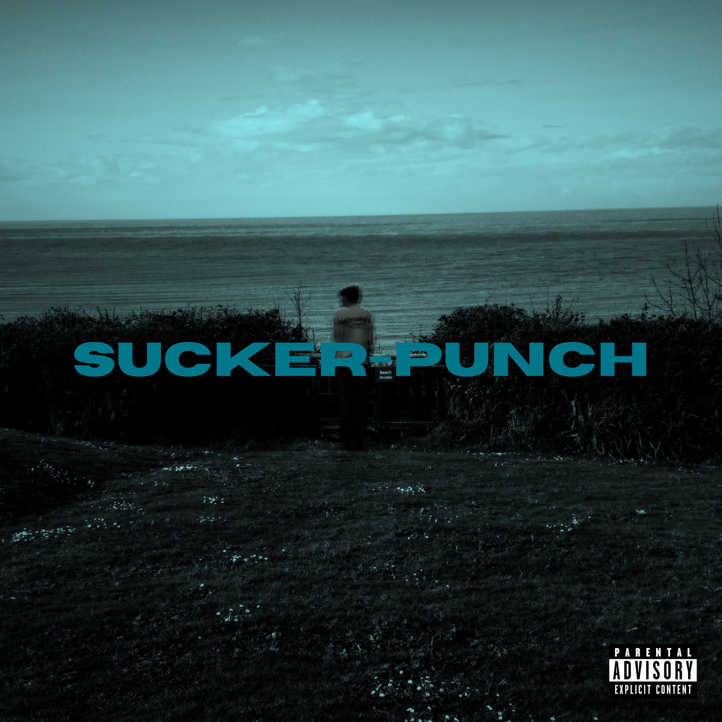 SUCKER-PUNCH DELUXE LIMITED EDITION CD